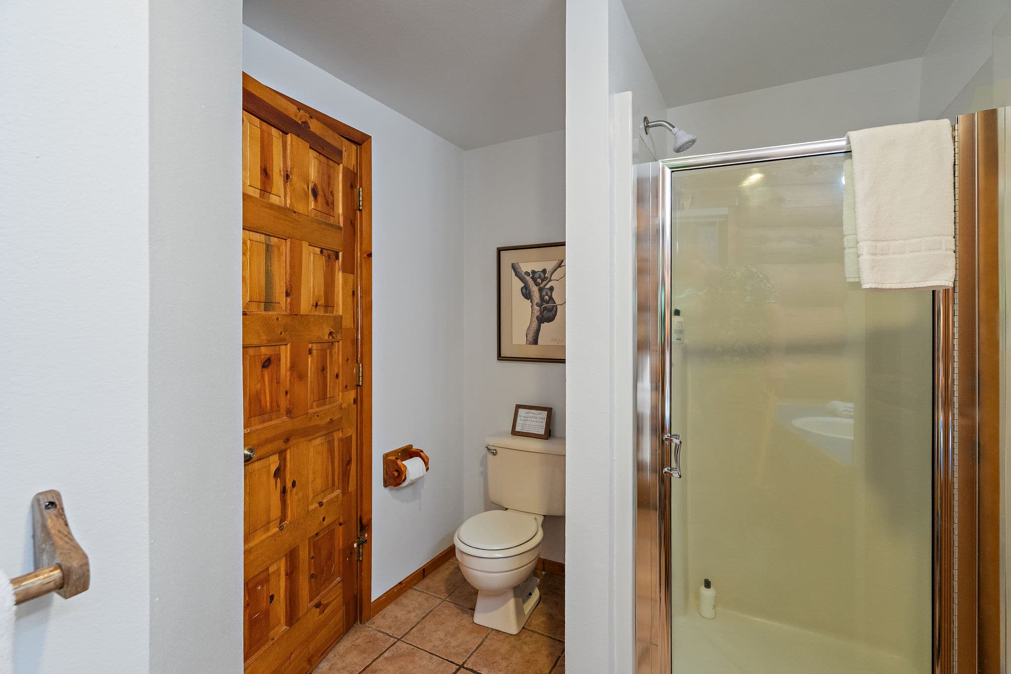 Walk-in shower and toilet in the main-floor bathroom.