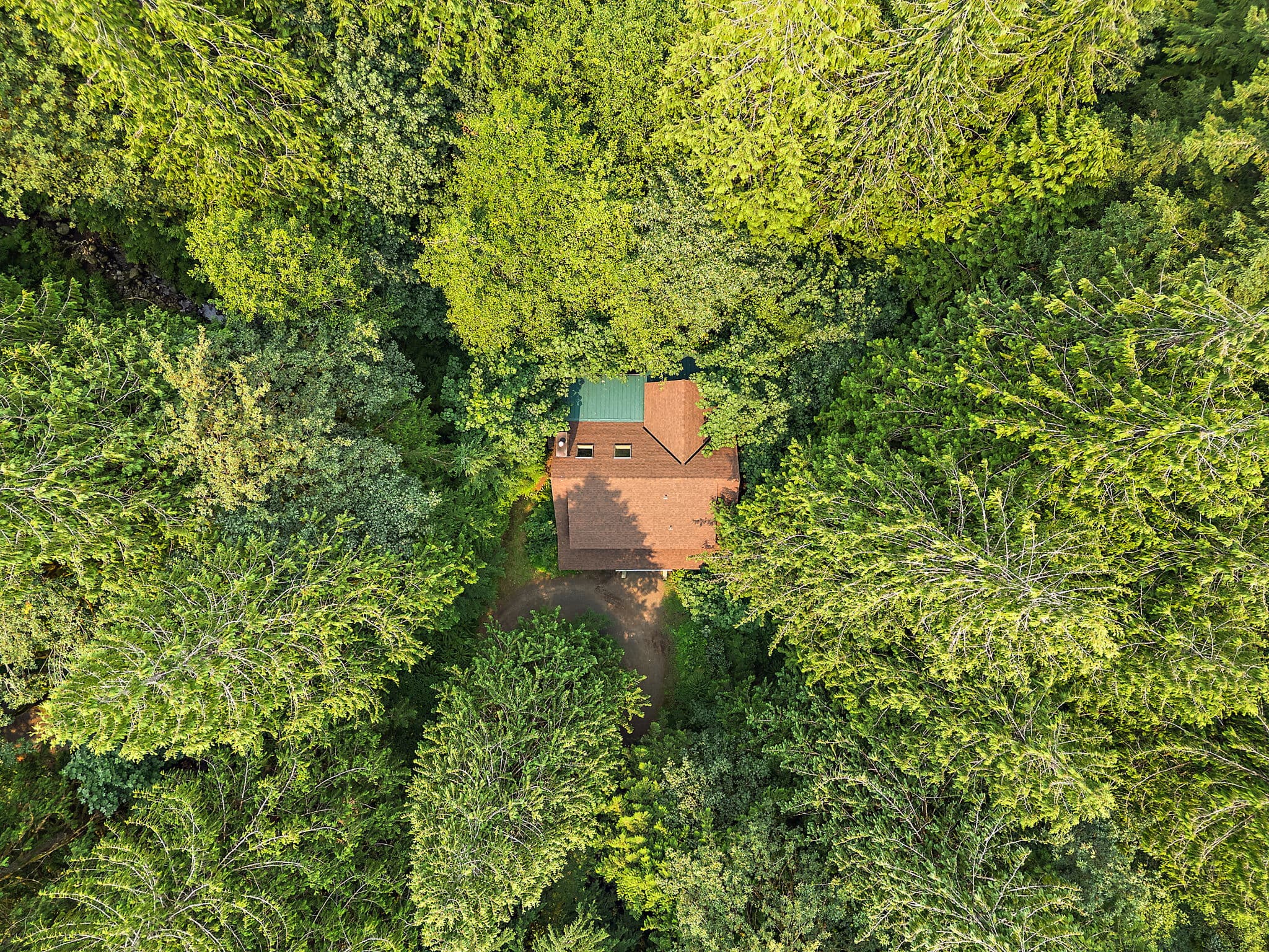 The property sits ringed by dense forest.
