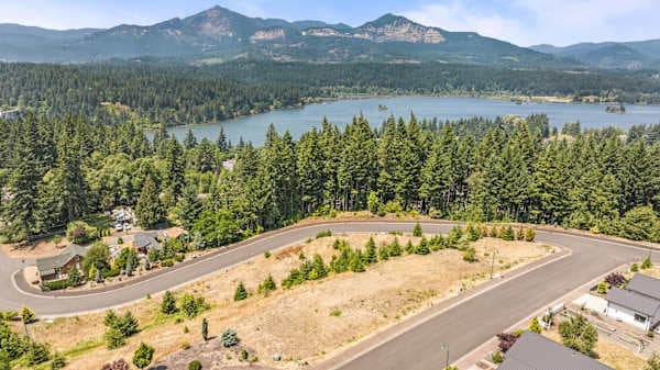 Cascade Locks and the Columbia River from above