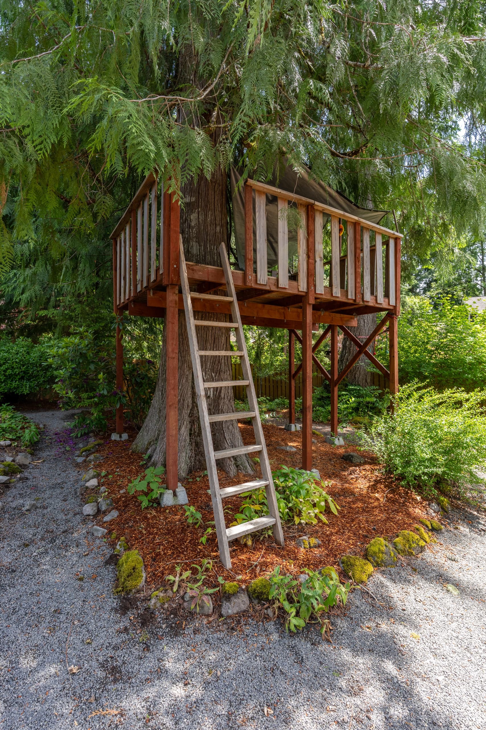 Backyard play structure tucked under the trees.